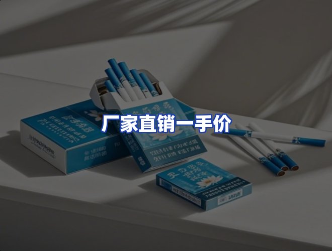 专业团队